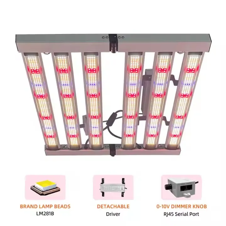 Best Led Grow Lights For Greenhouse