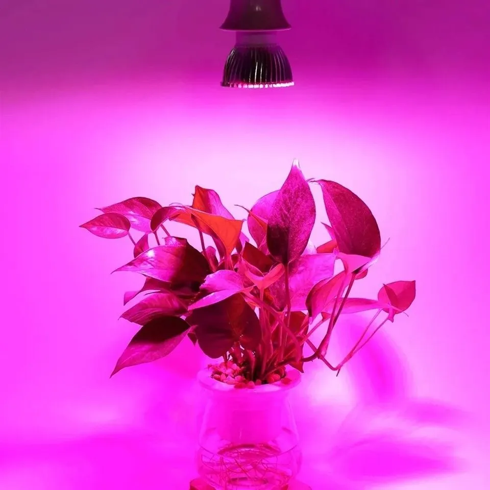 e27 grow light bulb 6(001)