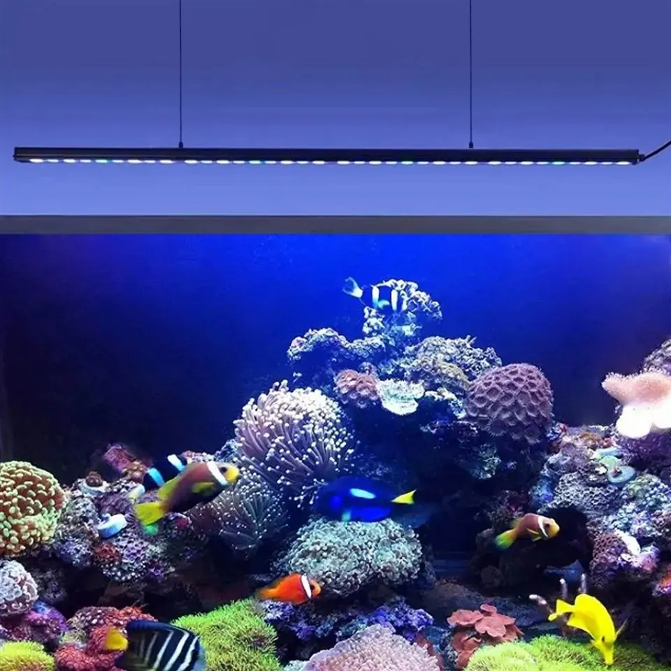 Fish Tank Light Bar
