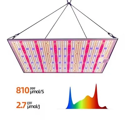 Mini tablero cuántico